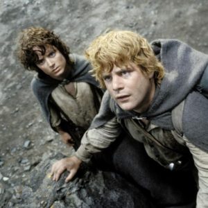 dna-frodo and sam
